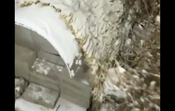 � ����� ������������� ����������� ������� ��� ������� ����� (�����)