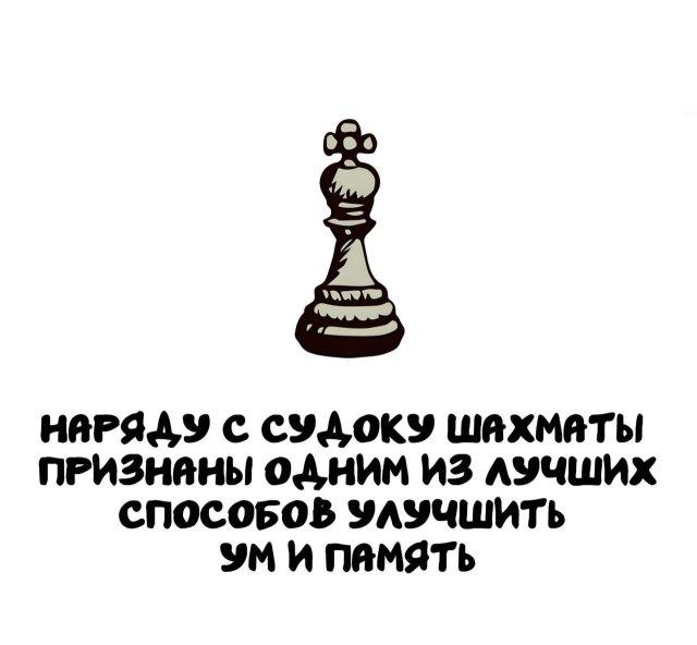 ���������� ����� �� ��� ������ ����� (15 ����)