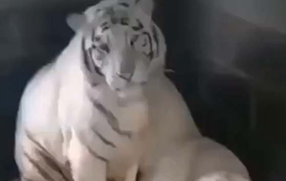 �� ������� ��, � ��� 15 ��� � ��� ���� (�����)