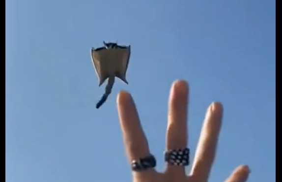 �������� ����� ������ (�����)