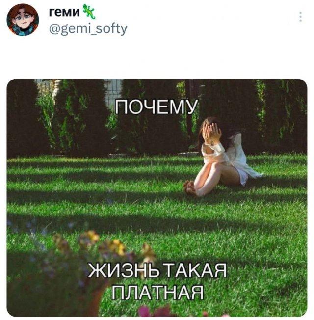 �������� �������� ������ ��� ���� (15 ����)