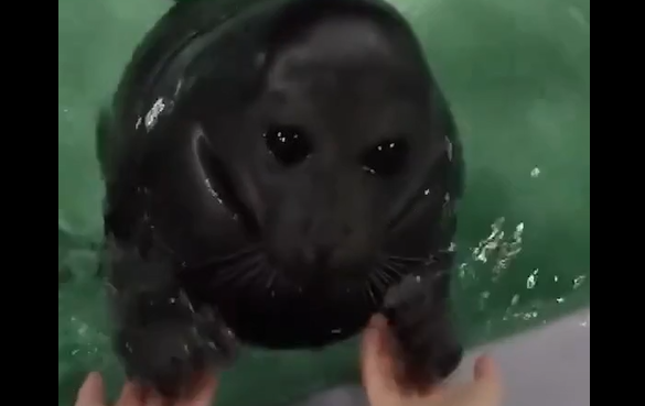 ����� ����������� �� ������ � ���������, �� � ������� ��������... (�����)