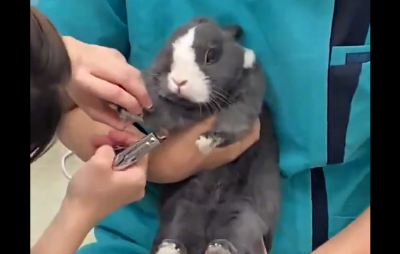 ����������� � ���������� �� ������� (�����)