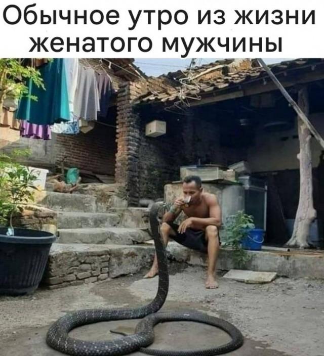 �������� ���������� ���� �3850 (30 ����)