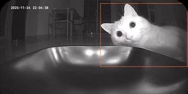 �������������� �������� "�������" ���� (3 ����)