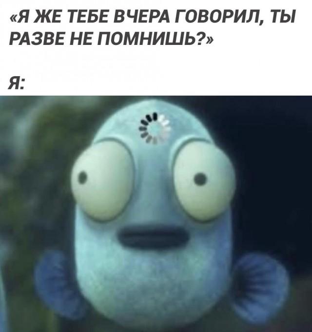 �������� ���������� ���� �3851 (30 ����)