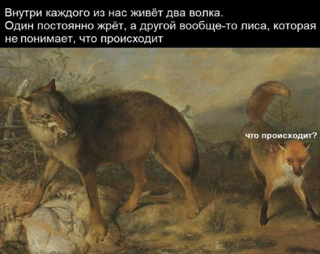 ������� �������� (15 ����)