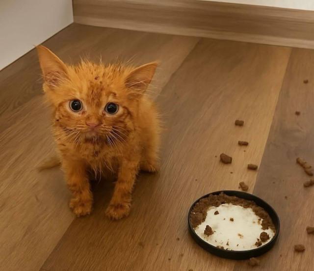 ���� ����� �������, ������� ������ � ��������� ��������� (15 ����)