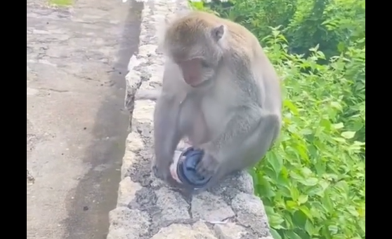 ���, �� ��������! ������ ����, ��� � ���������� (�����)