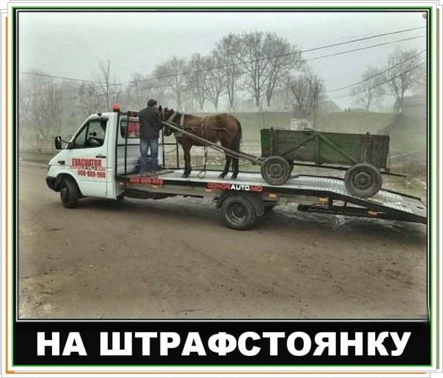 ������� ���� (15 ����)