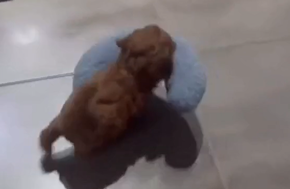 �� ��� ������, � � ����� (�����)