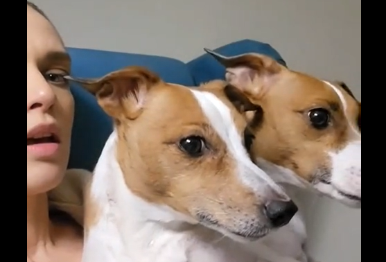 ��� ���� (�����)