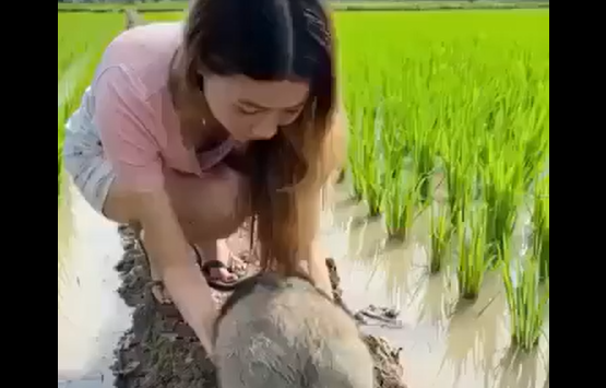 ����������� � ��������� ���������� ����� (�����)