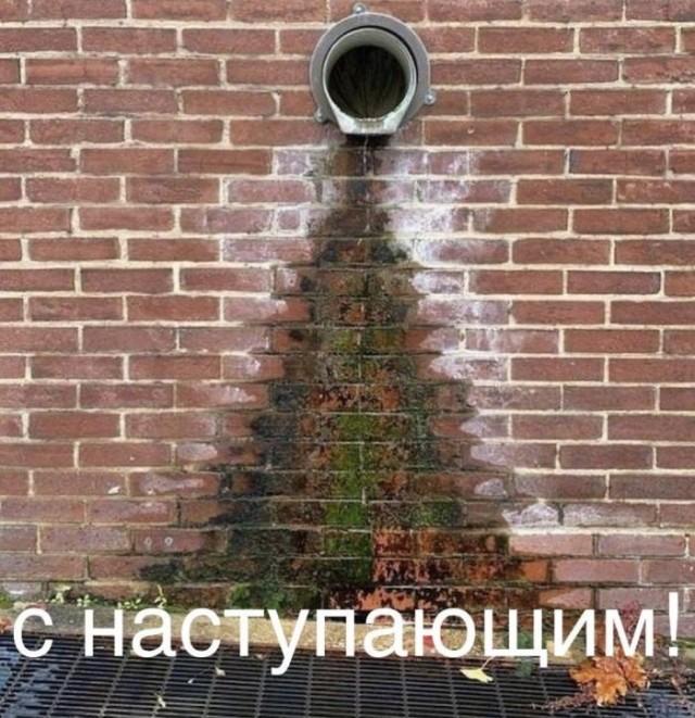 Смешные мемы (15 фото)