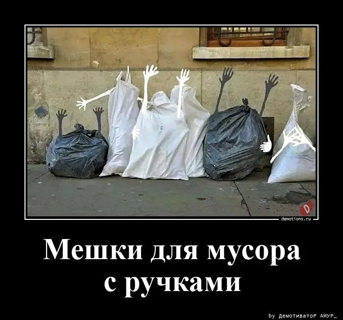 ������������ �3779 (15 ����)