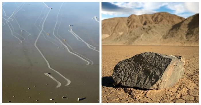 �������� ����� ������ ������ (13 ����)