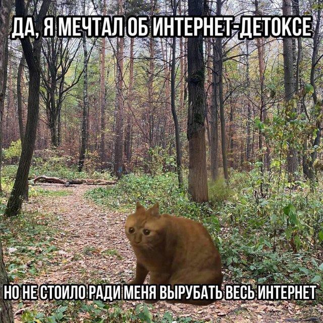 ������ ����� � ���� �� ���� (15 ����)