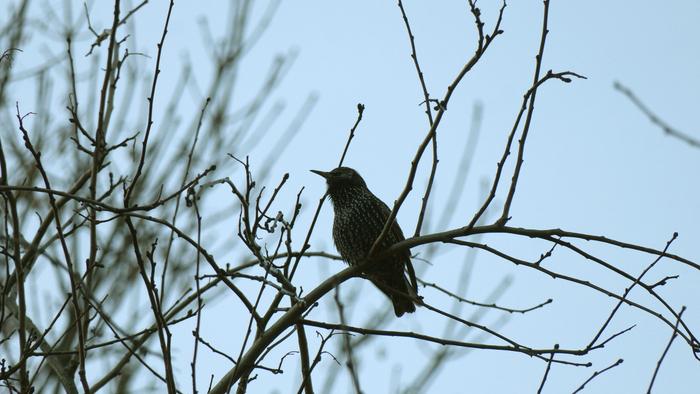 ������������� ������� ���������� ������� �� ������� � �������� ������ (9 ����)