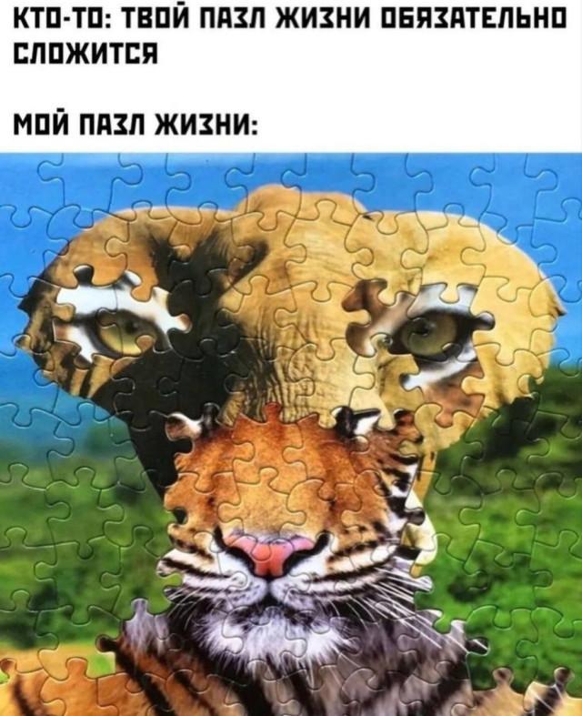 �������� ���������� ���� �3853 (30 ����)