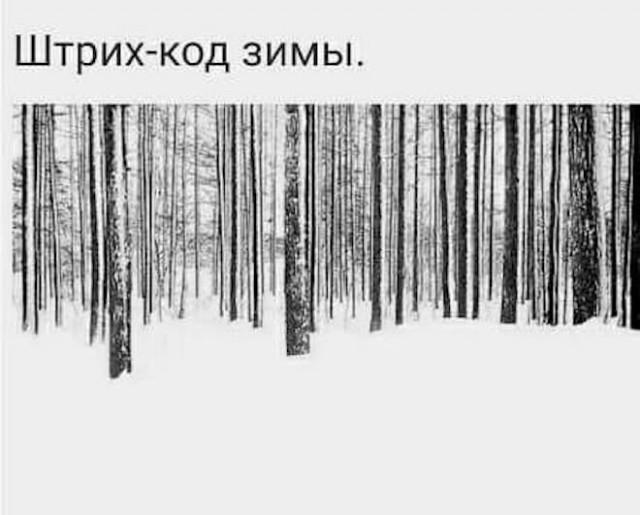 ������� �������� (15 ����)