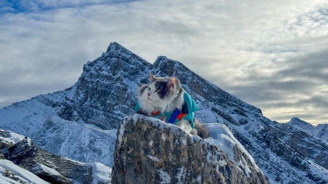 ��� �� ������ ���� ������������ �� ������ ������ �� ����� �������� (5 ����)