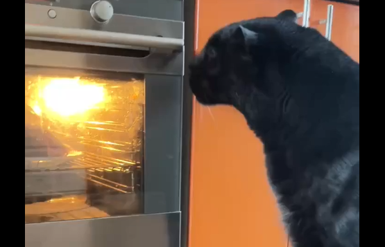 ��������� ������ ���� ��� (�����)