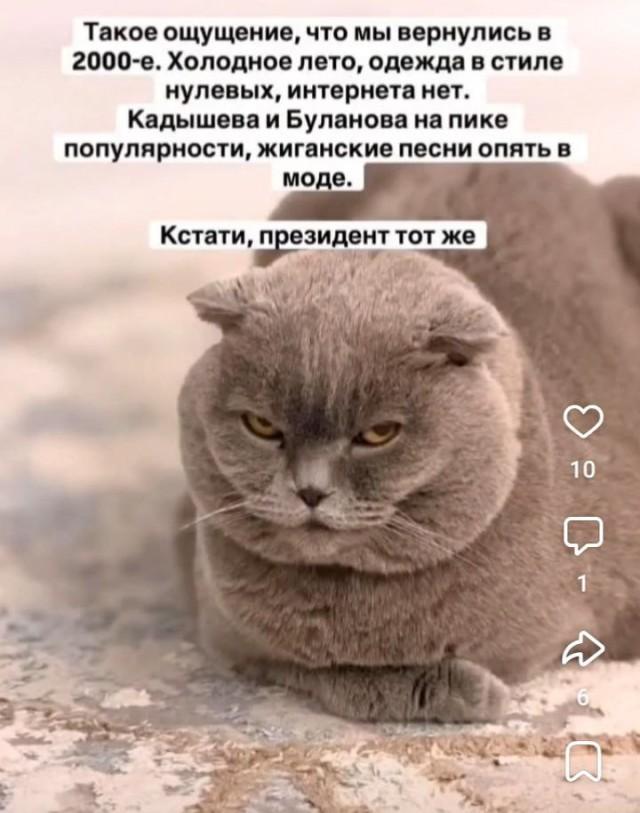 �������� ���������� ���� �3855 (30 ����)