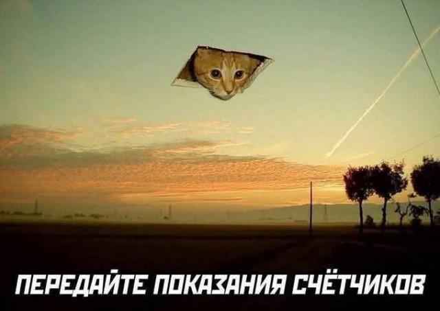 ������ ����� � ���� �� ���� (15 ����)