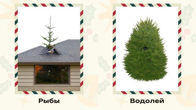 ��������� �������� ���� ��� ������� ����� ������� (6 ����)