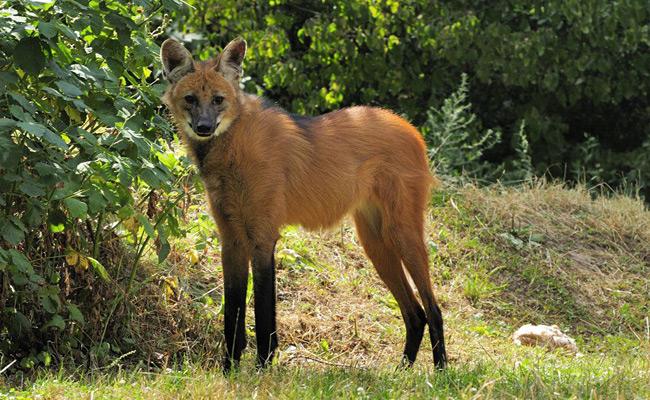 ����� � ����� �������� � ���������� ���� (5 ����)