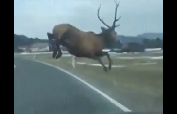 ��� �����, ���� ���� ����� ��������? (�����)