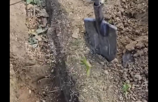 ��������! (�����)