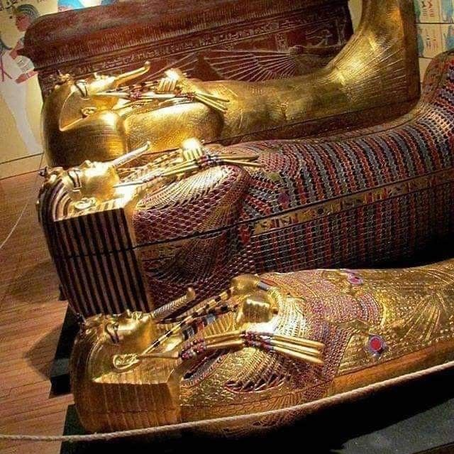 �������� ����������� (2 ����)