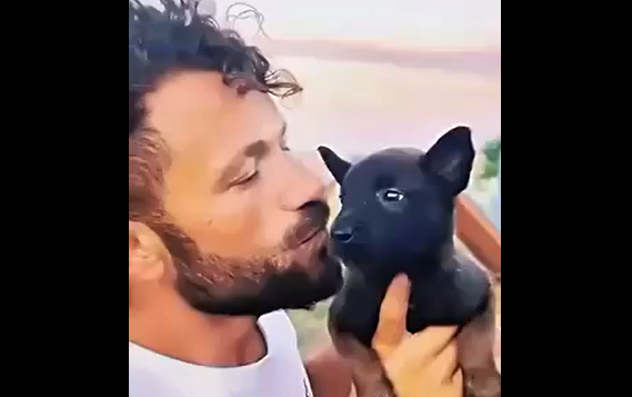 ������� ������� (�����)