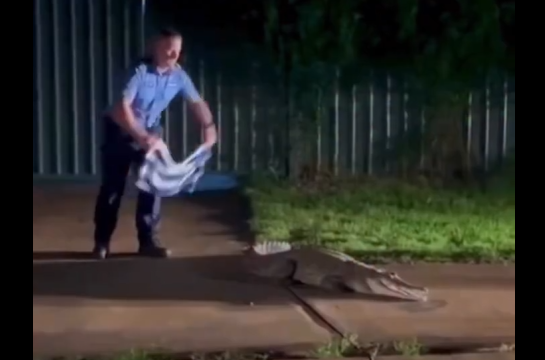 ����������? �� ����� (�����)