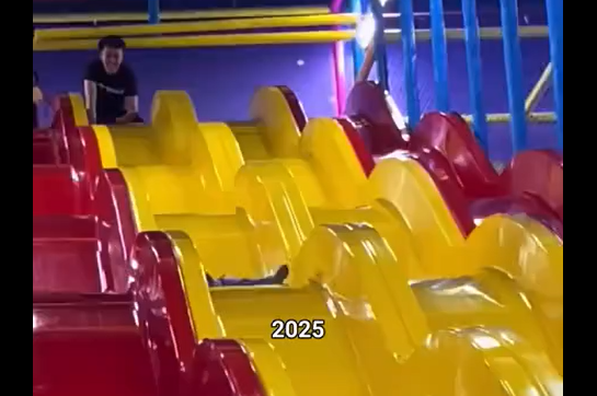 2025 (�����)