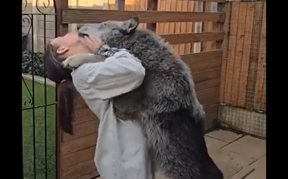 ������ ��� ������� ����� �������� ����������� �������� (�����)