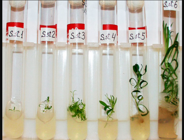 ������� ���������� �������� ��������� ����� 30 ����� ��� (3 ����)