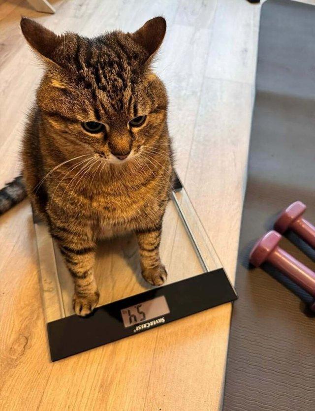 �������� � ��� ����� (3 ����)