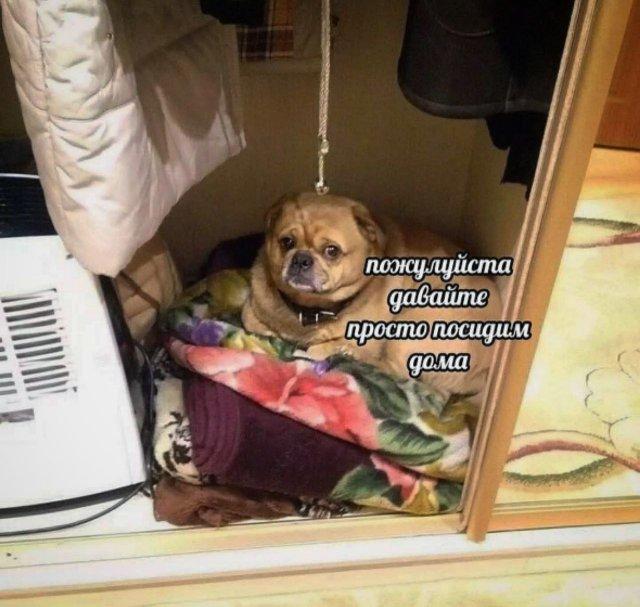 ������ ����� � ���� �� ���� (15 ����)