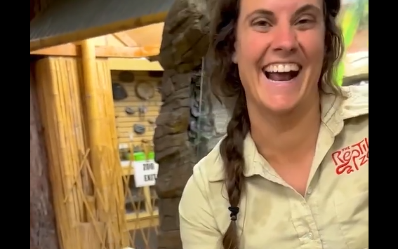 ������� ����� (�����)