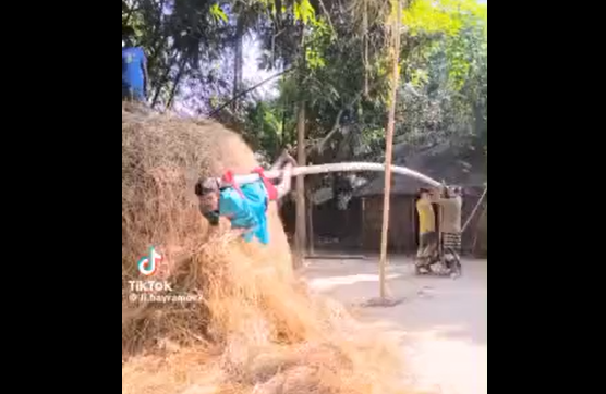 ���������� (�����)