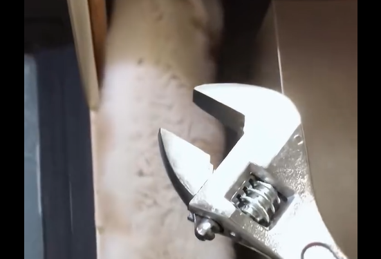 ������������ ��������� (�����)