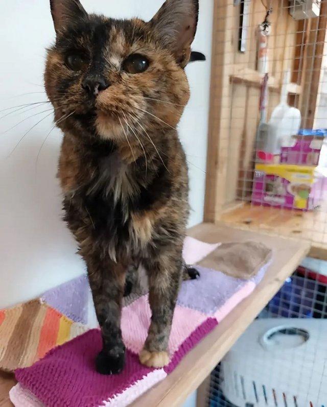 ������ � ����� ������ ����� � ���� (2 ����)