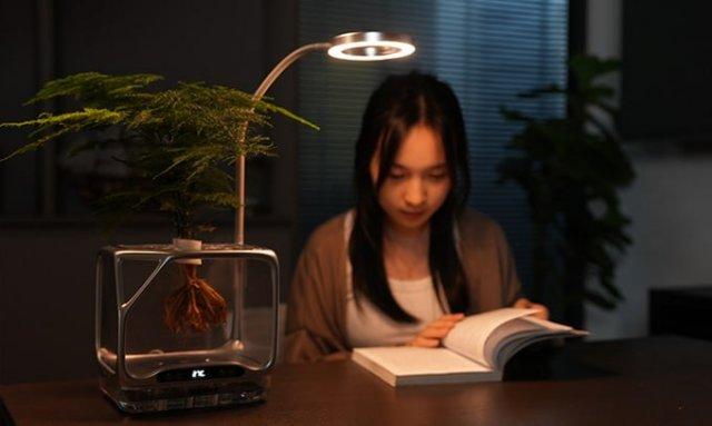 Китайцы выпустили прозрачный «горшок будущего» (3 фото)