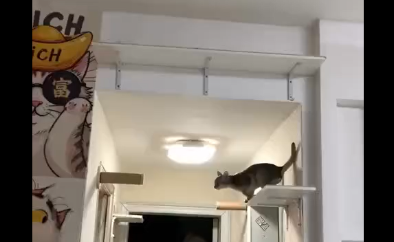 ���������� ��� (�����)