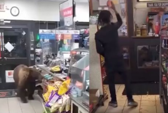 ������� ������� (�����)