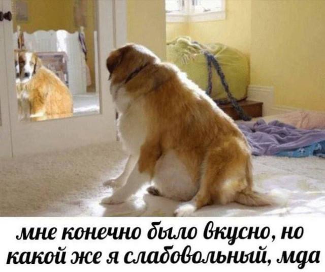 ������ ����� � ���� �� ���� (15 ����)