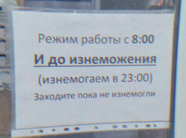 ������� ���� (15 ����)