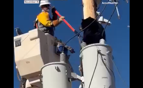 ����� ������� ������� (�����)